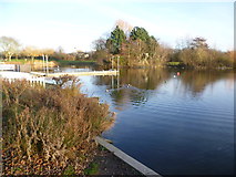 TQ5169 : Winter view of the lake in Swanley Park by Marathon