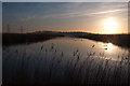 ST3382 : Newport Wetlands Reserve - Uskmouth by Mick Lobb