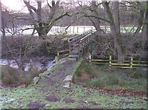 SD5654 : Footbridge over the Marshaw Wyre at Abbeystead by Raymond Knapman