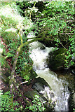 NY3804 : Stockghyll Force, Ambleside, Cumbria by Christine Matthews