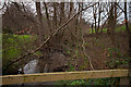 The view downstream on a bridge over Coney Gut near Waytown