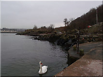 NS2071 : Inverkip Yacht Club by Thomas Nugent