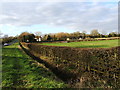 Verge, ditch, hedge and fence