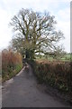 Country road near Llanddewi Rhydderch