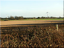 TF8010 : Cultivated fields west of Swaffham by Evelyn Simak
