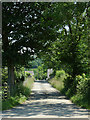 Farm road south-west of Tregaron, Ceredigion