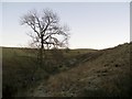 New Barn Clough