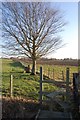 TQ8725 : Stile and Tree, near Sussex Border Path by Julian P Guffogg