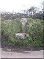 Detail of medieval wayside cross at Trevorry