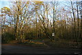 Track in the woods north of Leith Hill