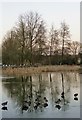 The village pond, Tylers Green