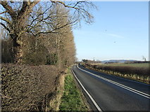 SE2845 : Arthington Lane (A659) heading east by JThomas