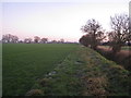 SE6517 : Farmland near Pincheon Green by Jonathan Thacker