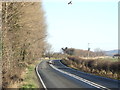 Red Kites over Arthington Lane