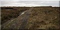 NR2856 : Track near Laggan, Islay by Becky Williamson