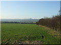 Farmland, Swindon Bank Farm