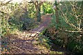 Wooden Footbridge at Barton Common