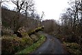 NM9243 : Storm damage in Appin by Alan Reid
