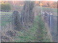 Path through the North Downs, Great Bookham