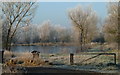 Hoar frost at the fishing lake, Carr Vale