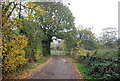 Footpath to Hawe Farm