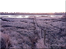 TR0062 : Frosty morning at Oare Creek by pam fray