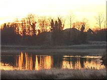 TR0062 : Pond next to Oare Creek at sunrise by pam fray