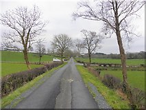 H5260 : Lisnarable Road by Kenneth  Allen