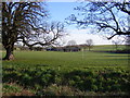 Withersdale Street Playing Field