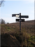 TM2782 : Roadsign on Withersdale Road by Geographer