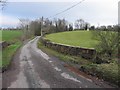 Bridge, Beltany