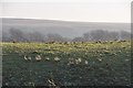 Exmoor : Moorland and Path