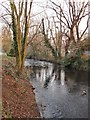 The River Crane, Crane Park, January