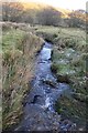 Exmoor : Small Stream