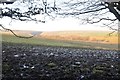 Exmoor : Muddy Field & Scenery