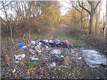 SE6416 : Fly-tipping on Fowdall Lane by Jonathan Thacker
