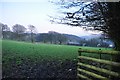 Exmoor : Field near Simonsbath