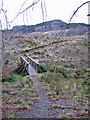 NG8027 : Footbridge in Lochalsh Woodland Park by Richard Dorrell