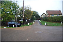 TR1365 : Junction of The Drive and The Drove by N Chadwick
