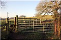 Gate and stile on the Delamere Way