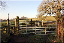 SJ5671 : Gate and stile on the Delamere Way by Jeff Buck