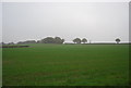 Farmland, Ridgeway Farm