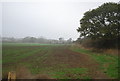 Edge of a field near Ridgeway Farm