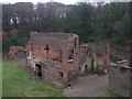 Ruins below Battery Pool (4)