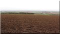 A ploughed field, Nottylees