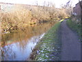 Shady Towpath 