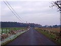 Roman road, towards West Plean