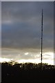 Sandy Heath TV mast