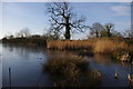 Pond at Slyne