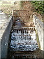 Stream enters a sink, Glyn-gwyn Farm, Trethomas